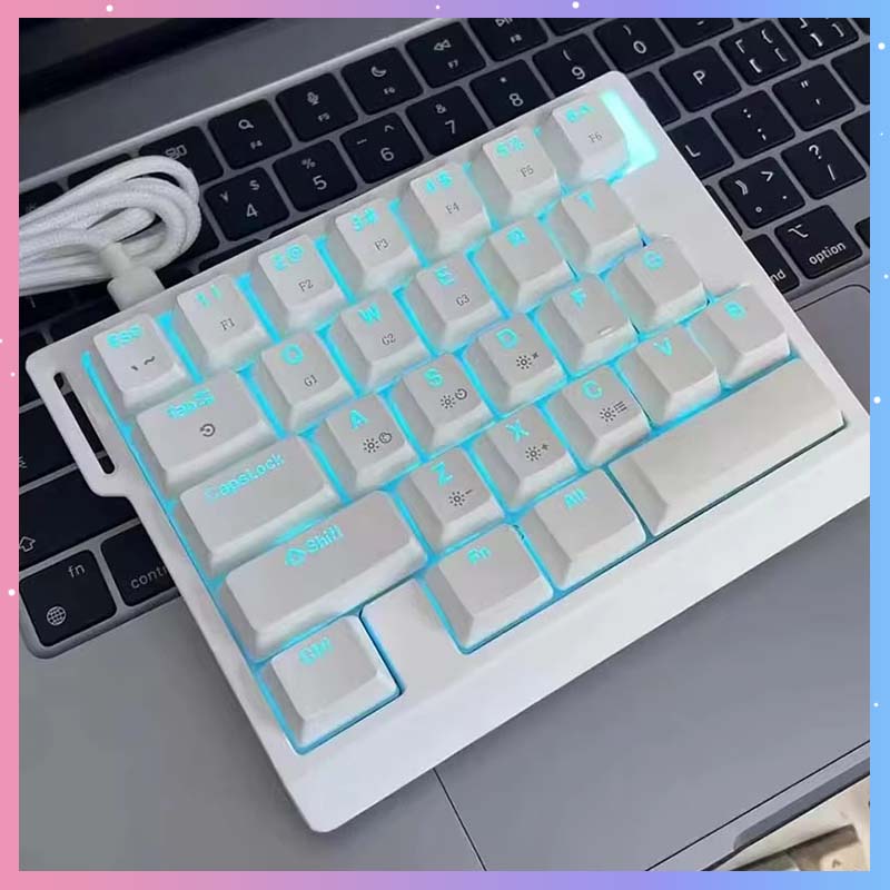 Gaming Keyboard Hand - HE30 Mechanical Gaming Keyboard 29keys Magnetic